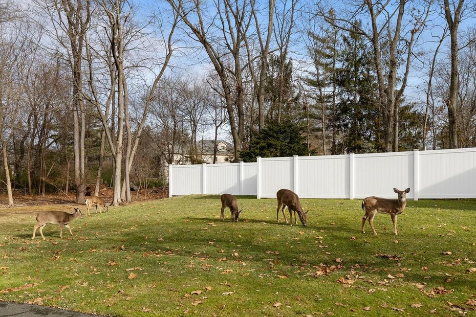 160 Grandview Avenue Photo 7