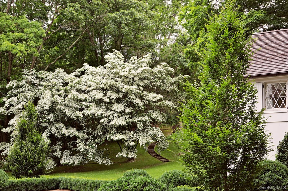 269 Stone Hill Road Photo 37