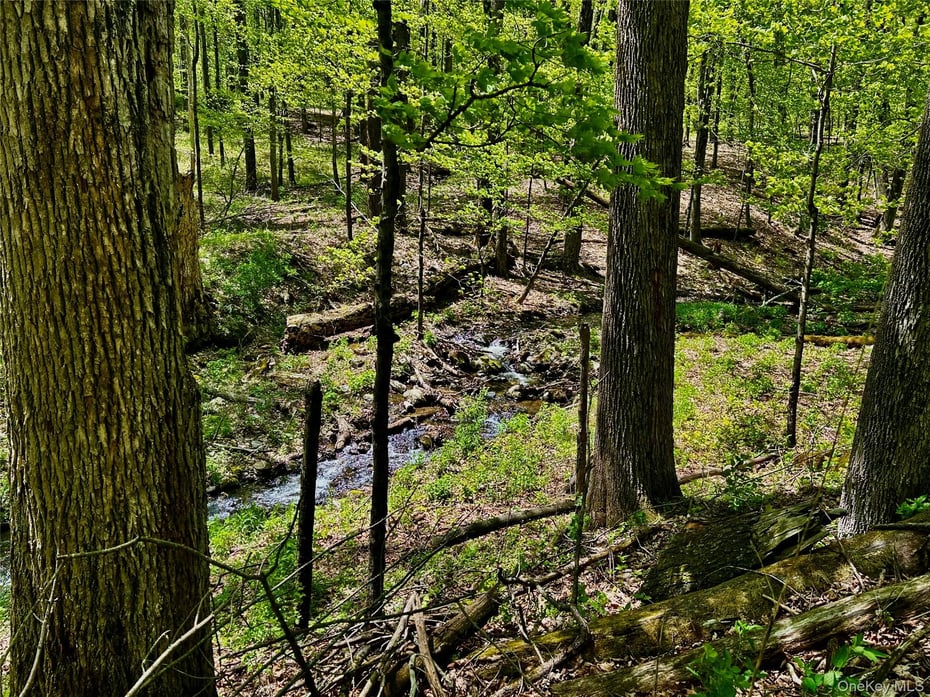 4 West Hill Road Photo 15