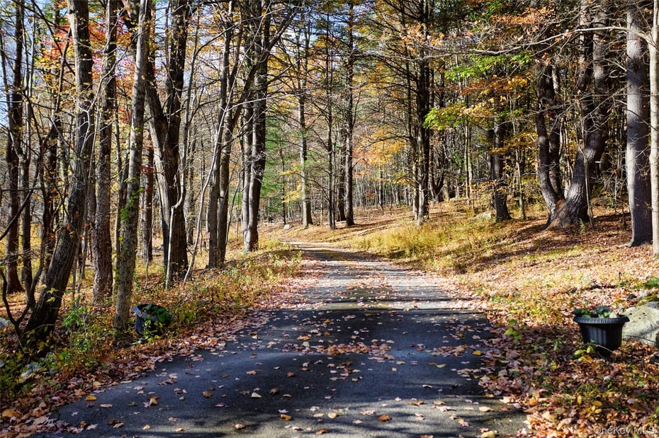 40 Engel Road Photo 31