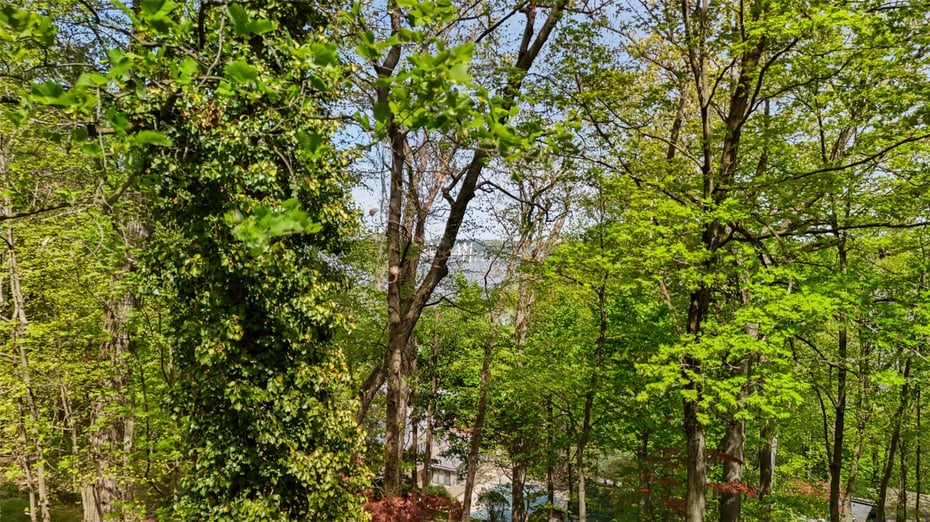 159 Tweed Boulevard Photo 33