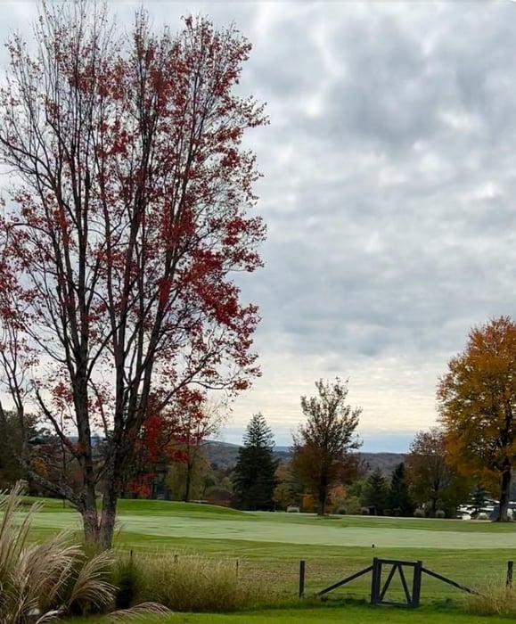 42 Golf Course Road Photo 38