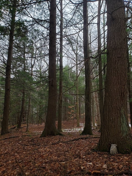 0 Lower Valley Rd. Photo 9