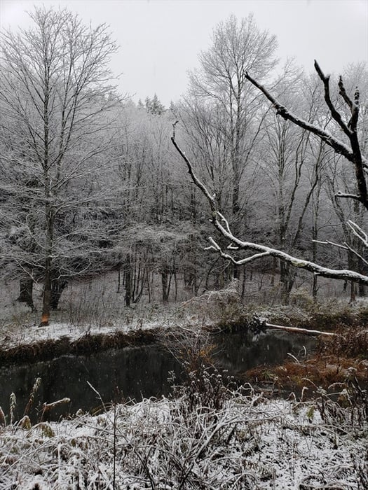0 Lower Valley Rd. Photo 4