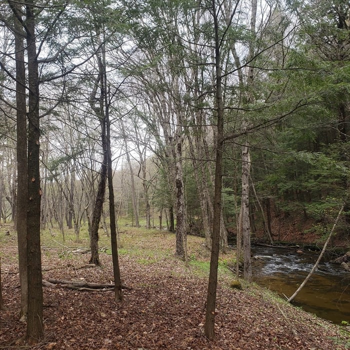 0 Lower Valley Rd. Photo 2