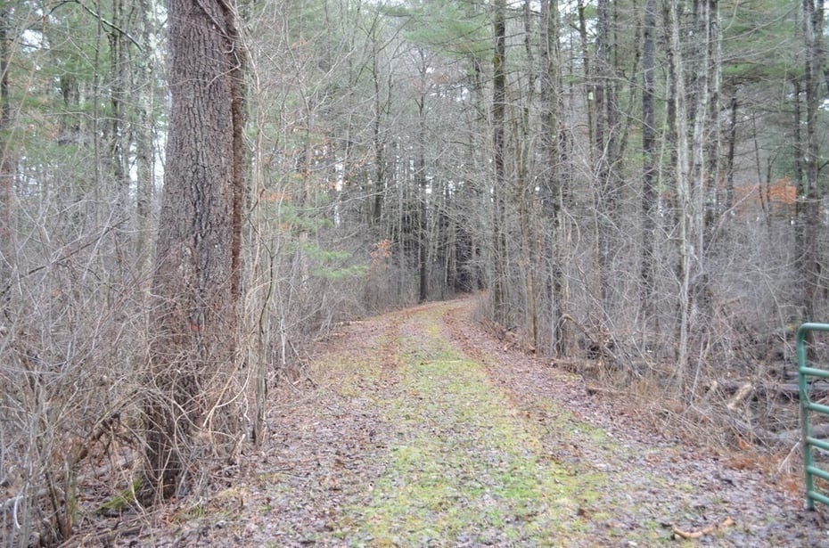 884 Stony Hill Rd Photo 3