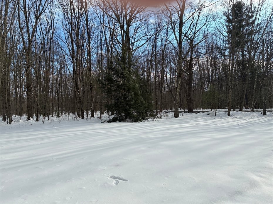 316 Main Road Photo 2