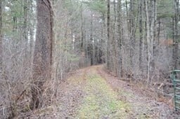 884 Stony Hill Rd Photo 2