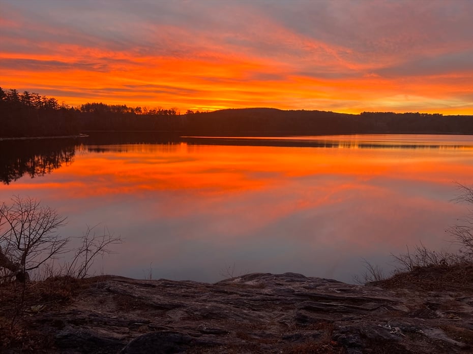 615 Laurel St. Photo 8