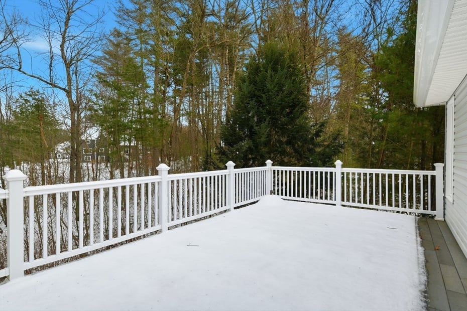 6 Shattuck Road Photo 36