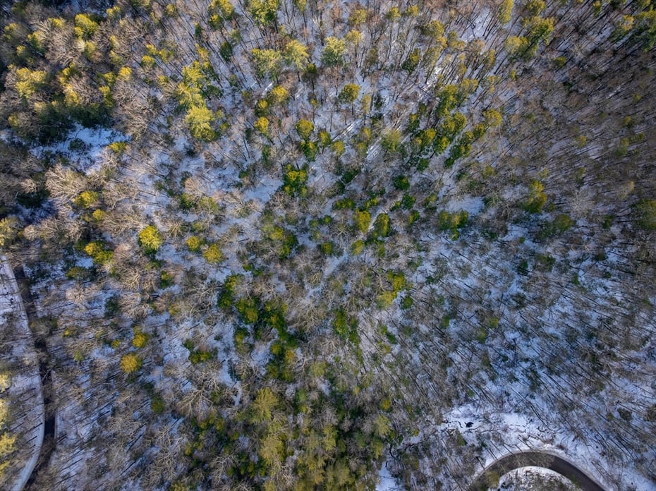 00 Brook Rd Photo 12