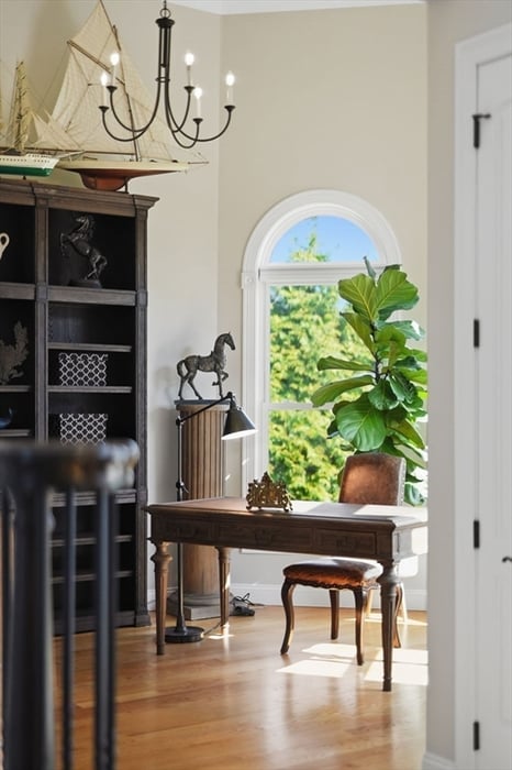9 Nicholas Ln Photo 12