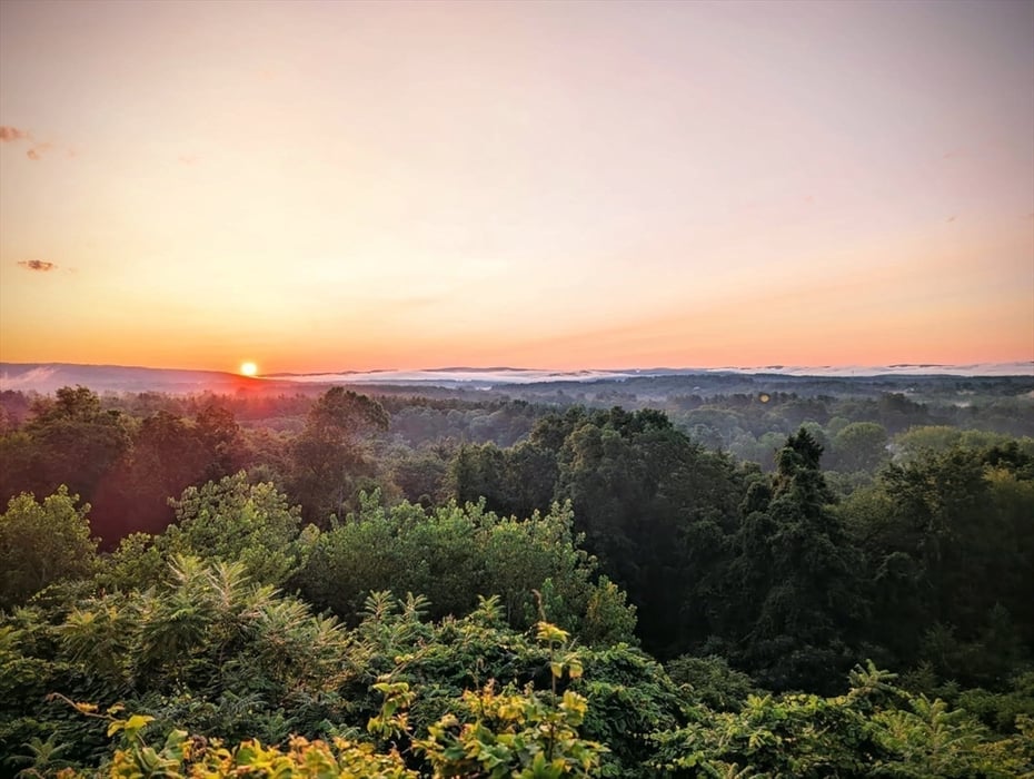 151 Smead Hill Rd Photo 24