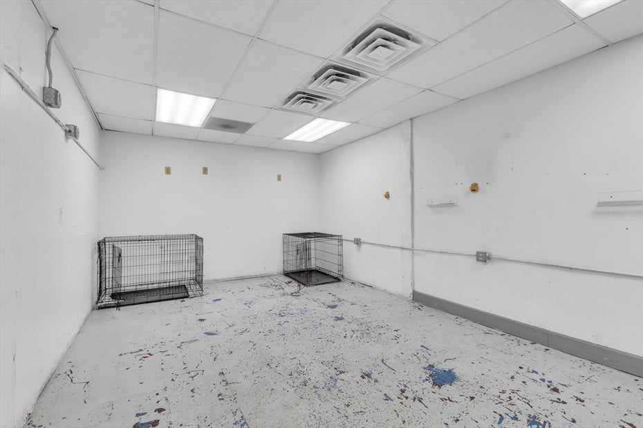 203 Long Plain Rd Photo 4