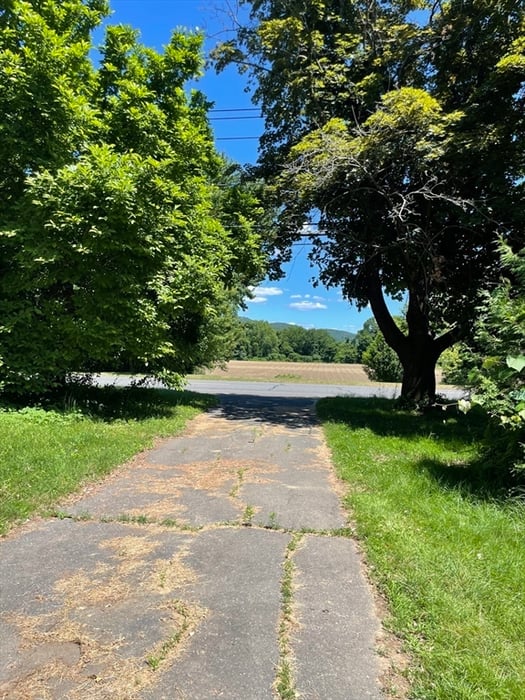 239 River Road Photo 8