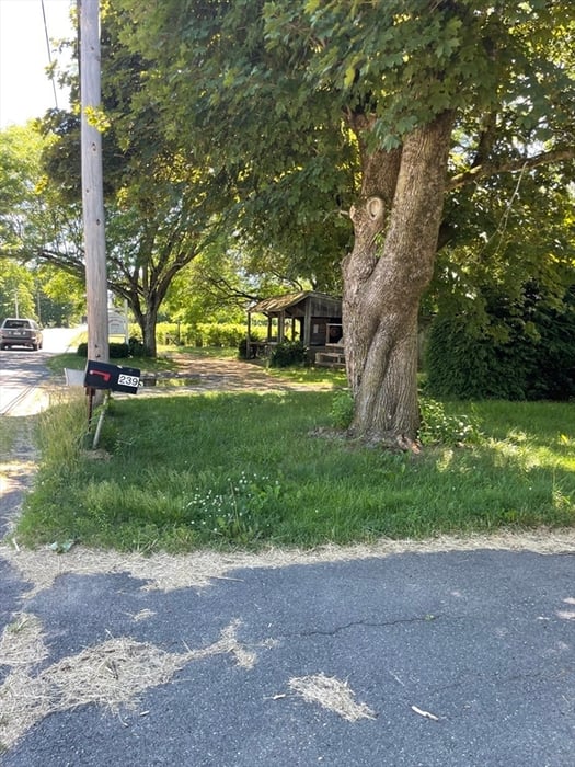 239 River Road Photo 9