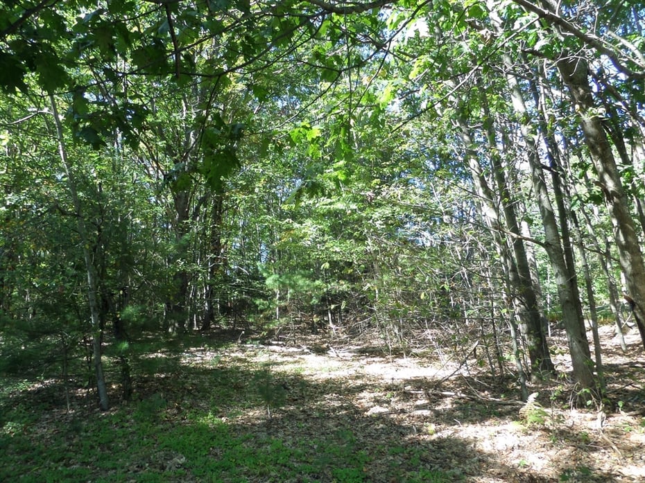 0 Stage Road Photo 4