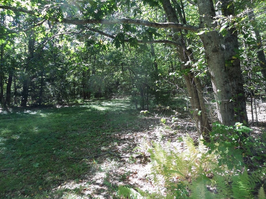 0 Stage Road Photo 5