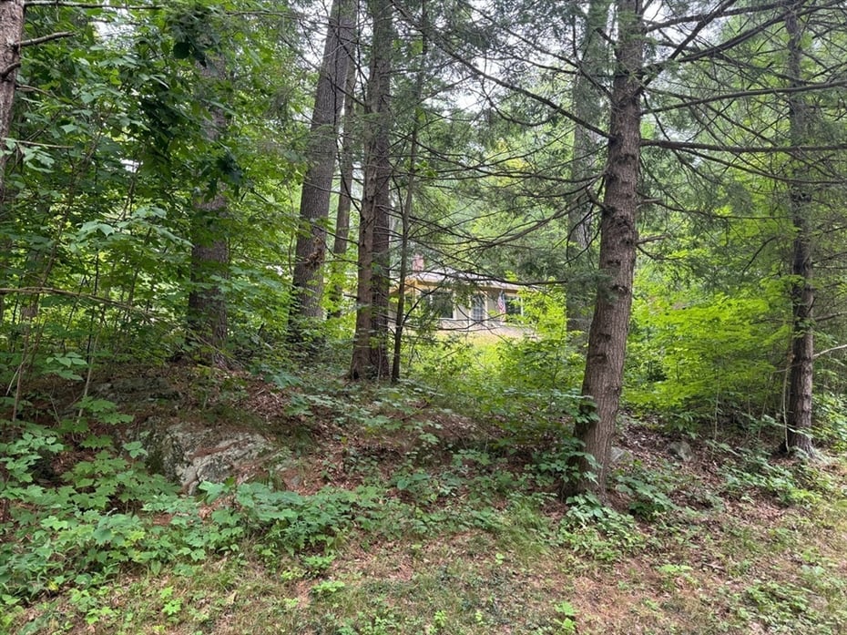 14 Wood Way Photo 41