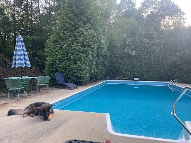 21 Meadow Wood Dr Photo 39