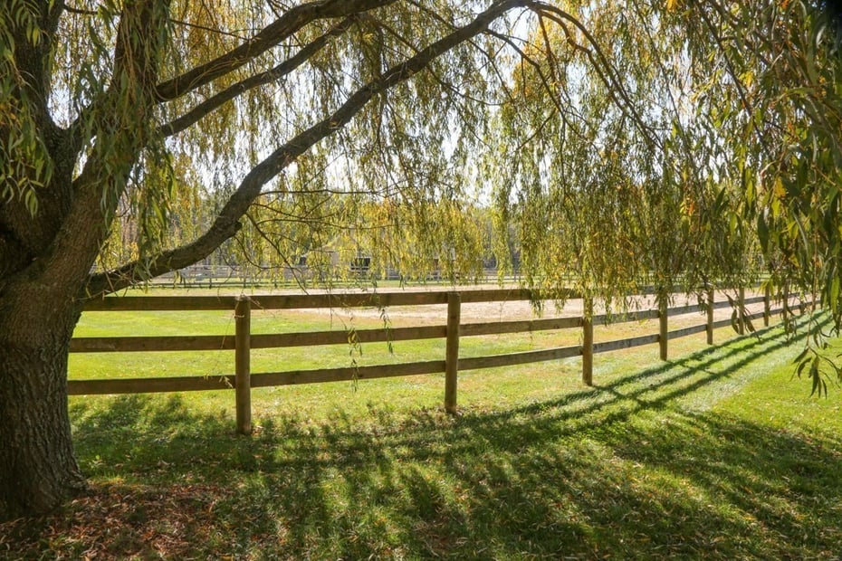 200 Easthampton Rd Photo 38