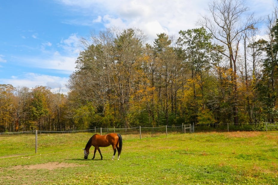 200 Easthampton Rd Photo 40