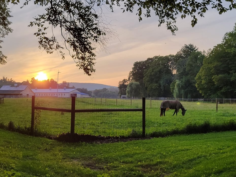 200 Easthampton Rd Photo 42