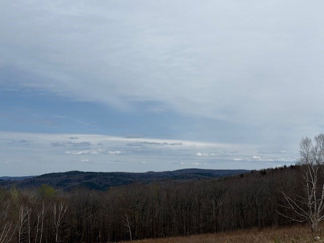 335 Mohawk Trail Photo 32