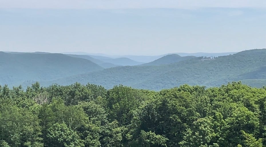 335 Mohawk Trail Photo 31