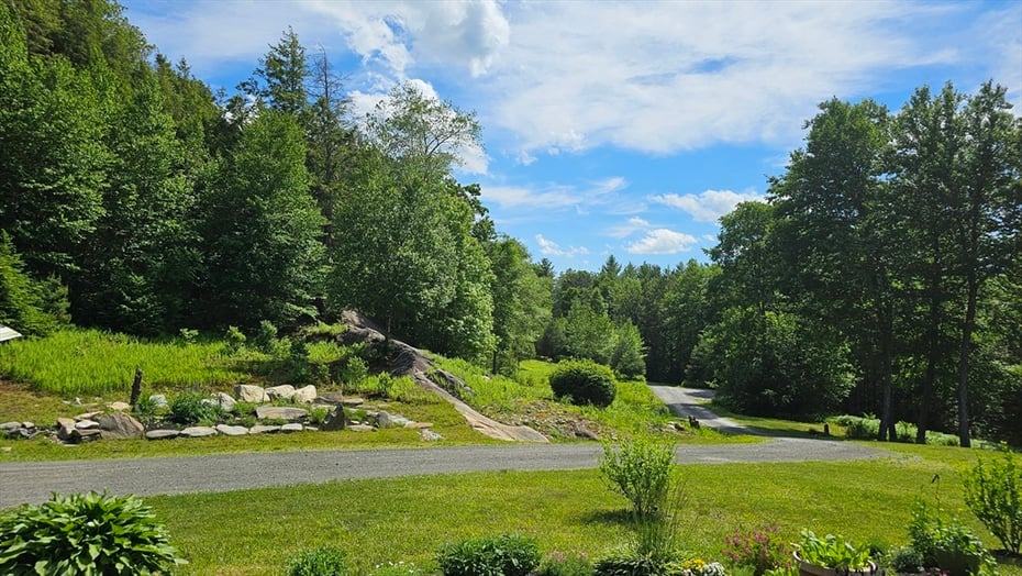 82 Willcutt Road Photo 4