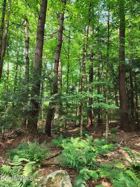 0 Cross Rd Photo 3