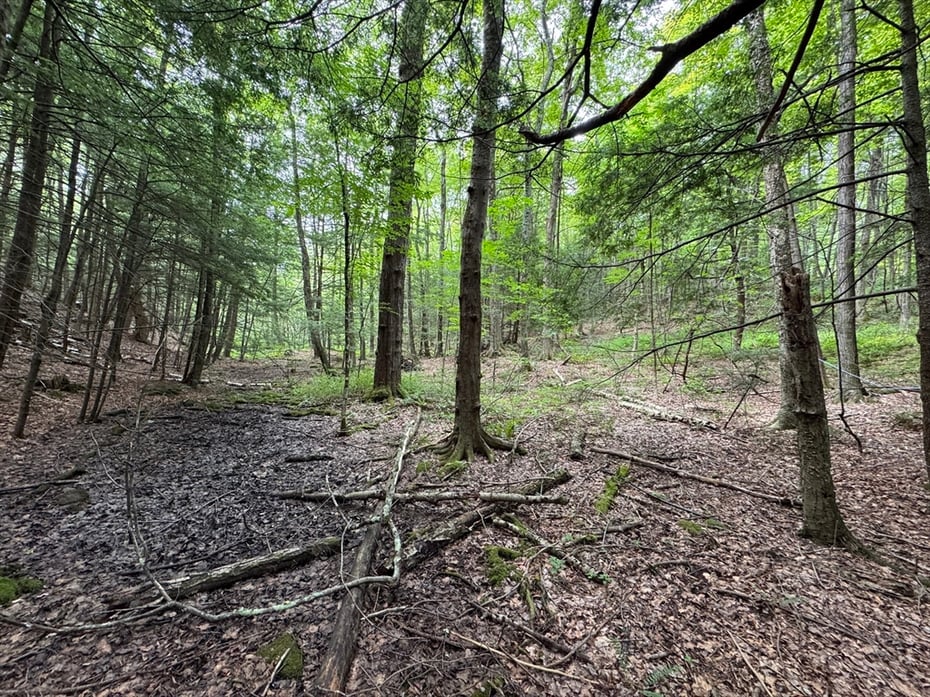 0 North Street Photo 12