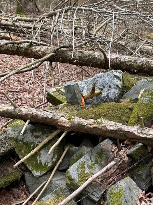 0 North Street Photo 11