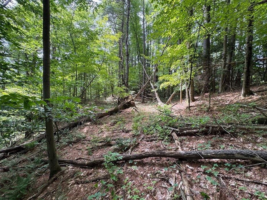 0 North Street Photo 7