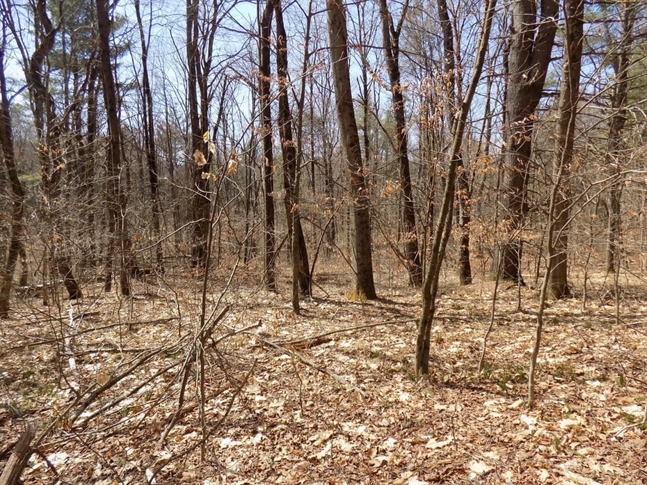 0 Summit Hill Rd. Lot 3 Photo 6