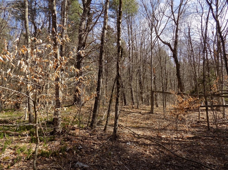 0 Summit Hill Rd. Lot 3 Photo 12