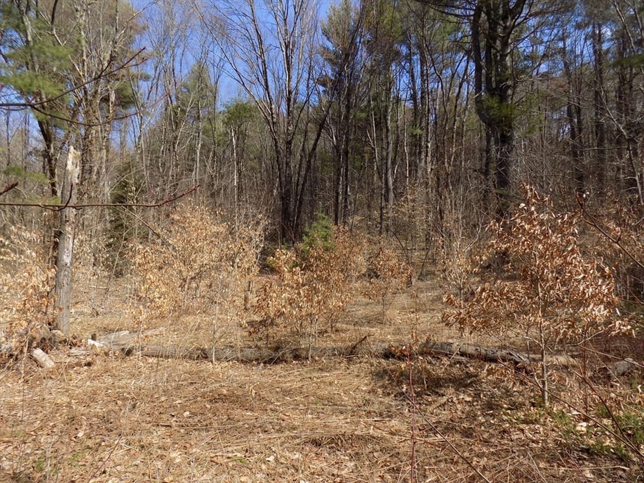 0 Summit Hill Rd. Lot 3 Photo 8