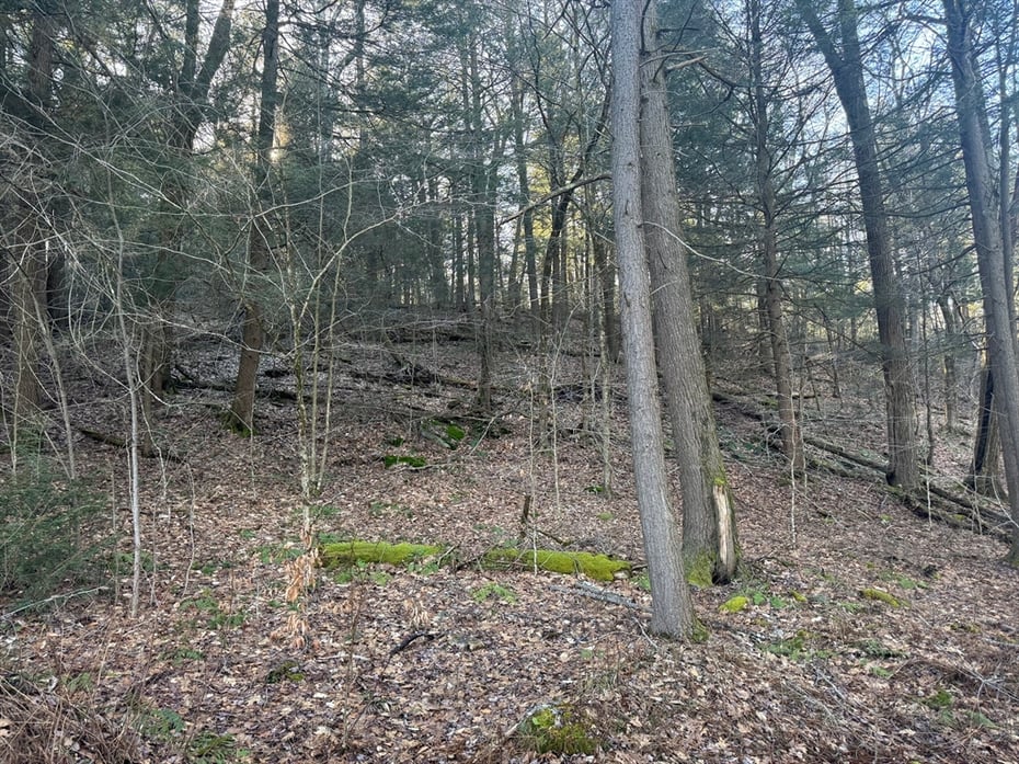 6 Hemlock Rd Photo 9