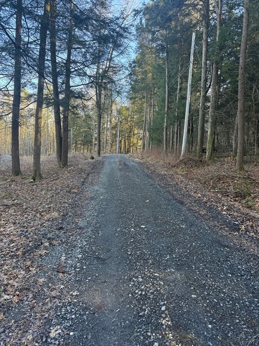 6 Hemlock Rd Photo 4