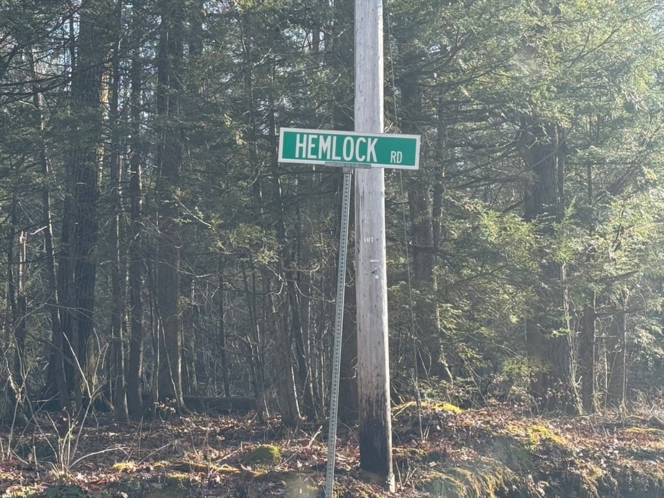 6 Hemlock Rd Photo 2