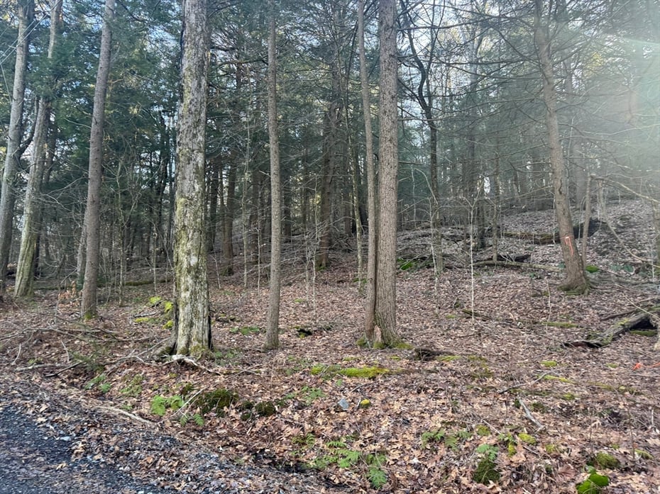 6 Hemlock Rd Photo 5