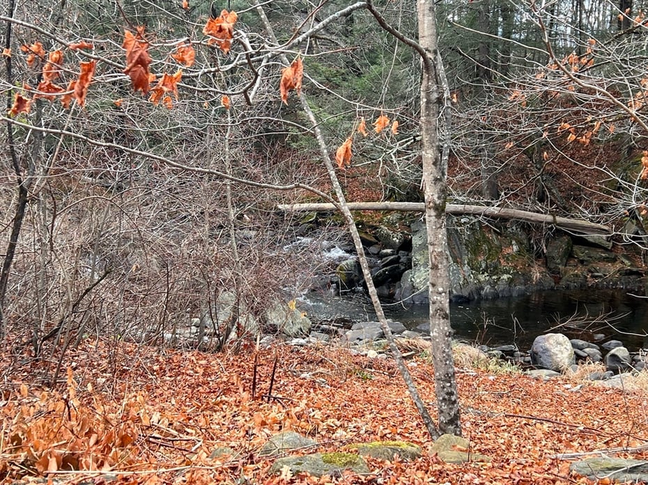 79 Berkshire Trail Photo 12