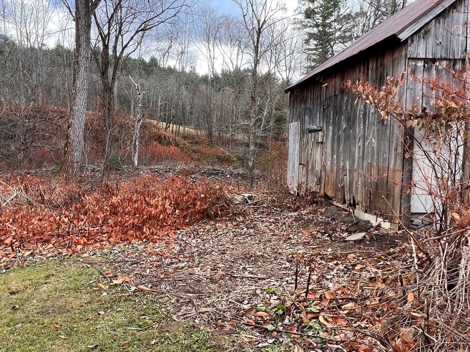 79 Berkshire Trail Photo 5