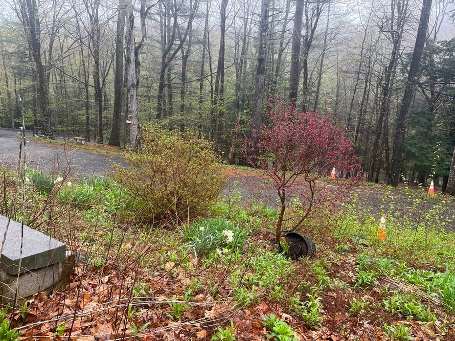 97 Monroe Rd Photo 28