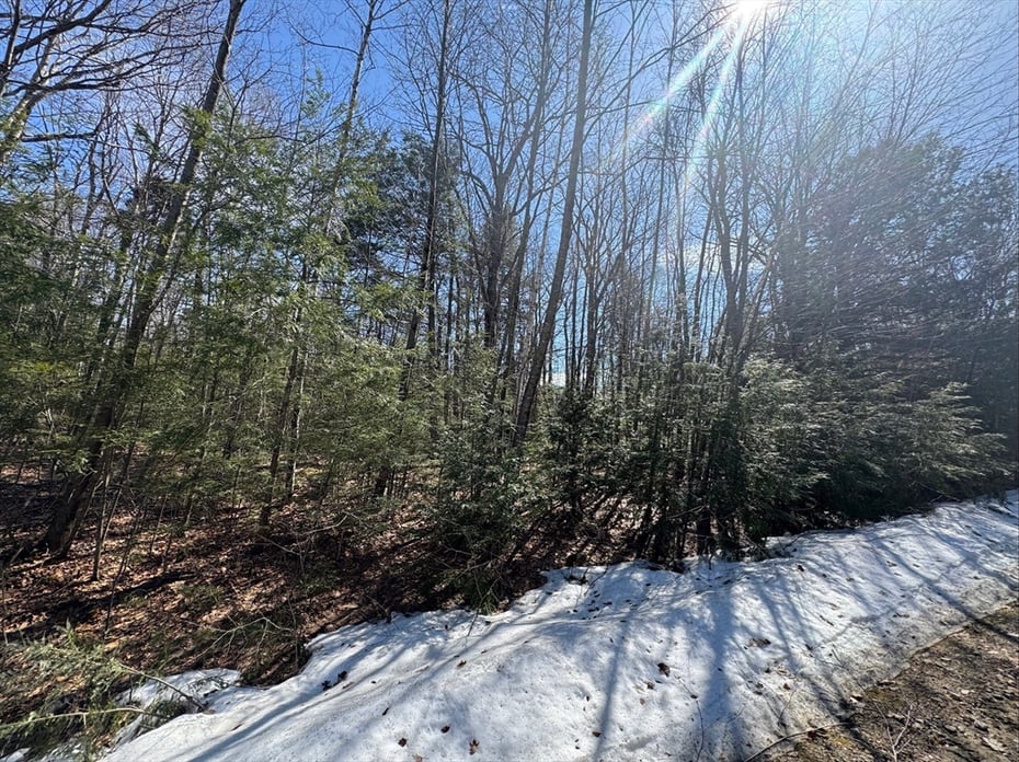 Lot 7 Skyline Ridge Rd. Photo 5