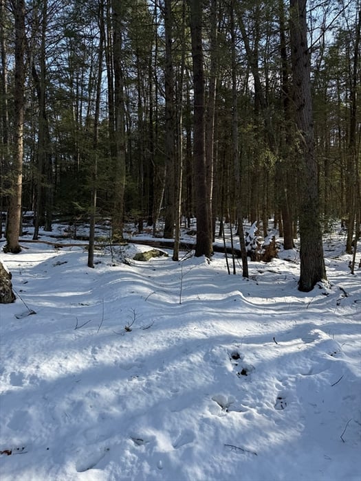 0 Four Mile Brook Rd Photo 3