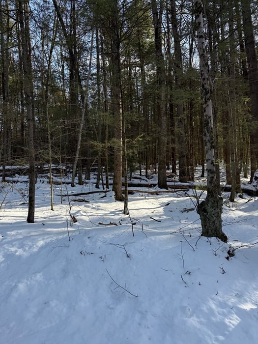 0 Four Mile Brook Rd Photo 4