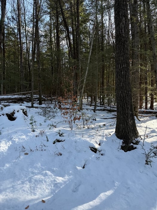 0 Four Mile Brook Rd Photo 5