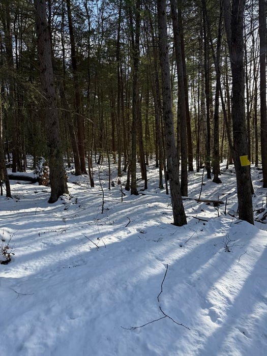 0 Four Mile Brook Rd Photo 2