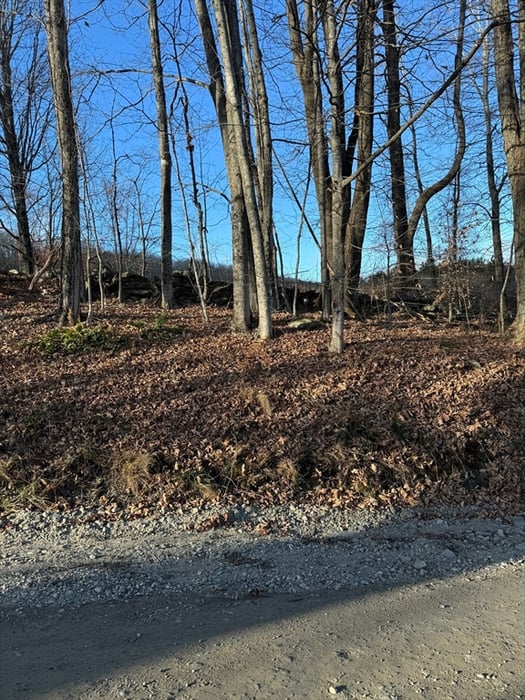 0 Stage Road Photo 6